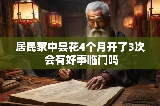 居民家中昙花4个月开了3次 会有好事临门吗