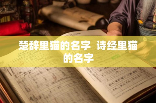 楚辞里猫的名字  诗经里猫的名字