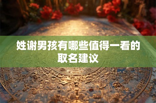 姓谢男孩有哪些值得一看的取名建议