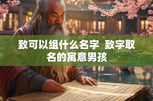 致可以组什么名字  致字取名的寓意男孩