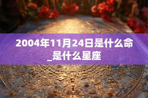 2004年11月24日是什么命_是什么星座