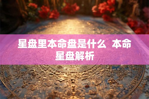 星盘里本命盘是什么  本命星盘解析