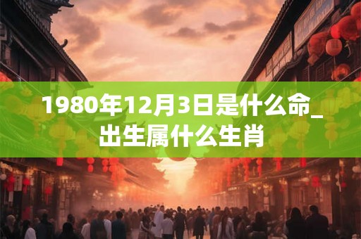 1980年12月3日是什么命_出生属什么生肖