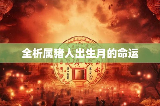全析属猪人出生月的命运