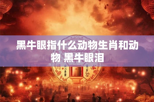 黑牛眼指什么动物生肖和动物 黑牛眼泪