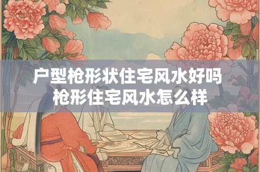 户型枪形状住宅风水好吗 枪形住宅风水怎么样