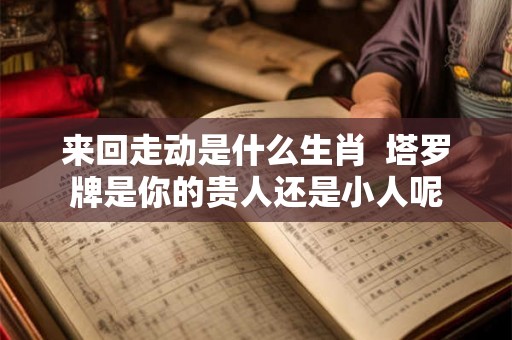 来回走动是什么生肖  塔罗牌是你的贵人还是小人呢