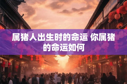 属猪人出生时的命运 你属猪的命运如何