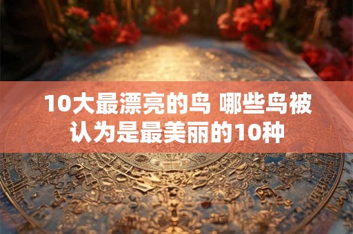 10大最漂亮的鸟 哪些鸟被认为是最美丽的10种 10大最漂亮的鸟 哪些鸟被认为是最美丽的10种
