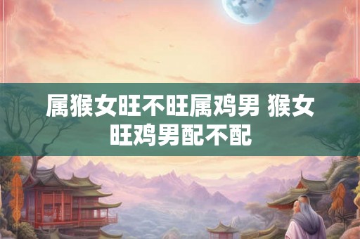 属猴女旺不旺属鸡男 猴女旺鸡男配不配