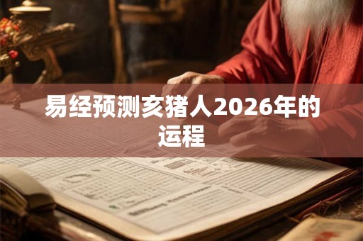 易经预测亥猪人2026年的运程