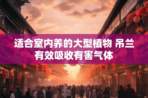适合室内养的大型植物 吊兰有效吸收有害气体