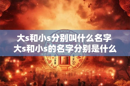大s和小s分别叫什么名字 大s和小s的名字分别是什么