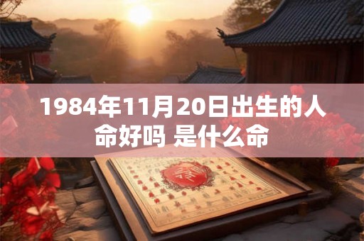1984年11月20日出生的人命好吗 是什么命