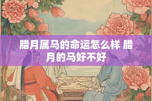 腊月属马的命运怎么样 腊月的马好不好