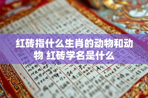 红砖指什么生肖的动物和动物 红砖学名是什么
