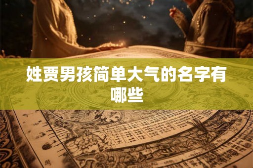 姓贾男孩简单大气的名字有哪些