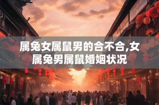 属兔女属鼠男的合不合,女属兔男属鼠婚姻状况