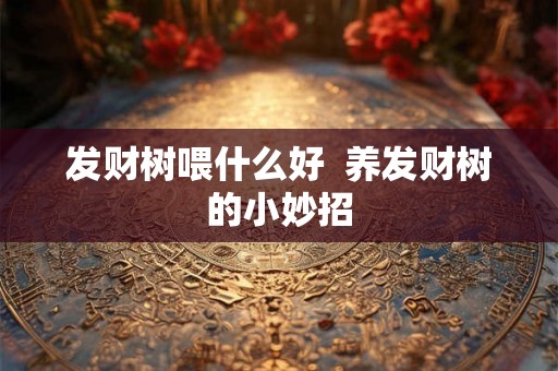 发财树喂什么好  养发财树的小妙招