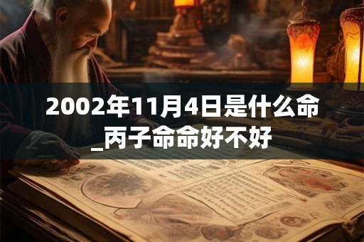 2002年11月4日是什么命_丙子命命好不好