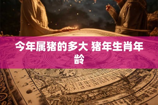 今年属猪的多大 猪年生肖年龄