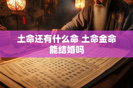 土命还有什么命 土命金命能结婚吗 土命还有什么命 土命金命能结婚吗