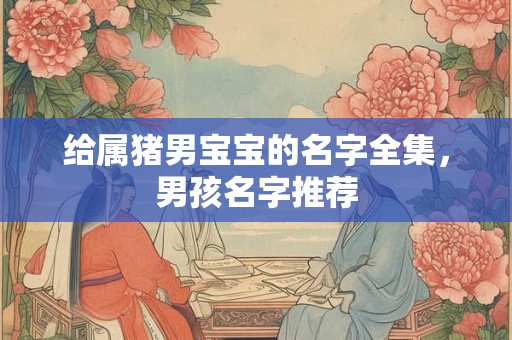给属猪男宝宝的名字全集，男孩名字推荐