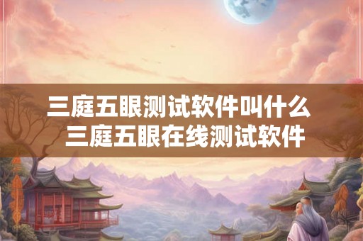 三庭五眼测试软件叫什么  三庭五眼在线测试软件