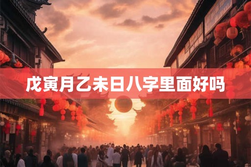 戊寅月乙未日八字里面好吗