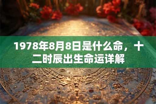 1978年8月8日是什么命，十二时辰出生命运详解