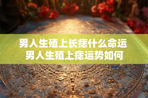 男人生殖上长痣什么命运 男人生殖上痣运势如何 男人生殖上长痣什么命运 男人生殖上痣运势如何