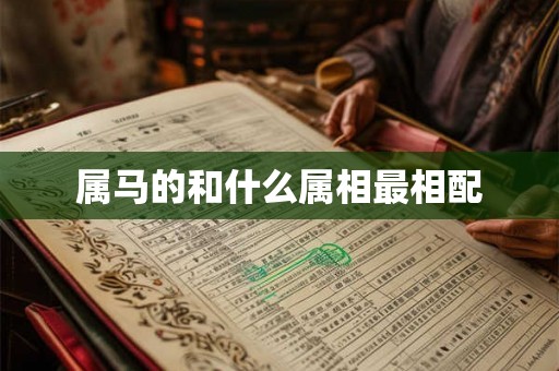 属马的和什么属相最相配