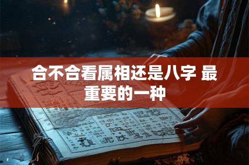 合不合看属相还是八字 最重要的一种