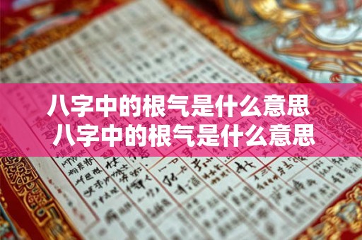 八字中的根气是什么意思  八字中的根气是什么意思