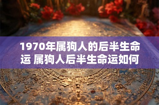 1970年属狗人的后半生命运 属狗人后半生命运如何