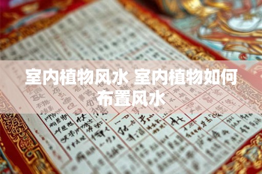 室内植物风水 室内植物如何布置风水