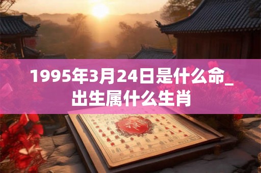 1995年3月24日是什么命_出生属什么生肖