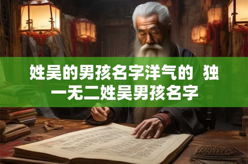 姓吴的男孩名字洋气的  独一无二姓吴男孩名字