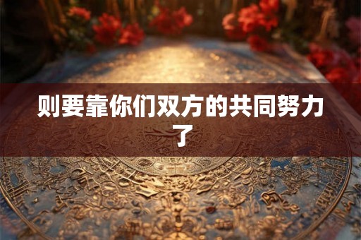 则要靠你们双方的共同努力了