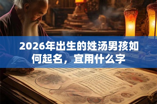 2026年出生的姓汤男孩如何起名，宜用什么字