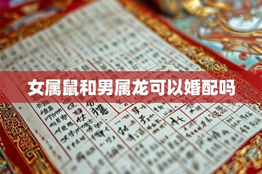 女属鼠和男属龙可以婚配吗