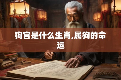 狗官是什么生肖,属狗的命运