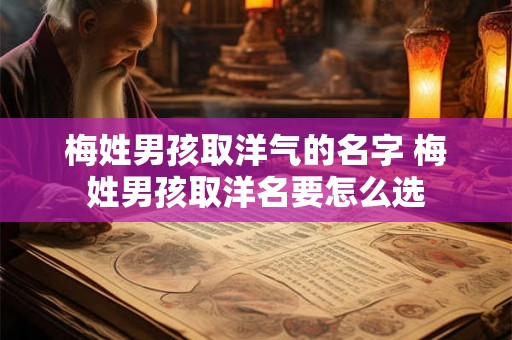 梅姓男孩取洋气的名字 梅姓男孩取洋名要怎么选