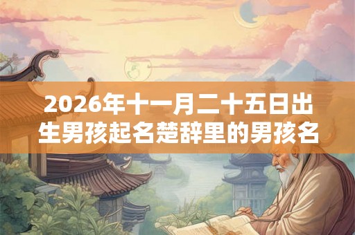 2026年十一月二十五日出生男孩起名楚辞里的男孩名字