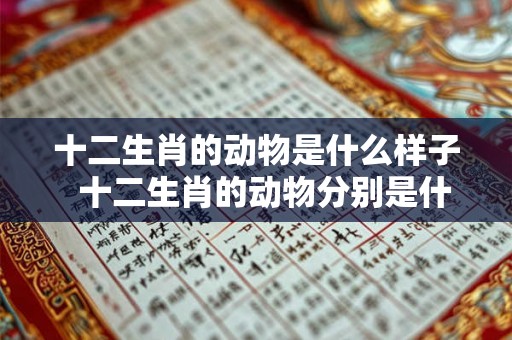 十二生肖的动物是什么样子  十二生肖的动物分别是什么