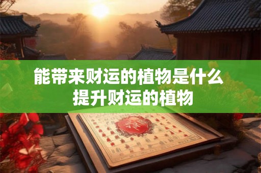 能带来财运的植物是什么 提升财运的植物 能带来财运的植物是什么 提升财运的植物
