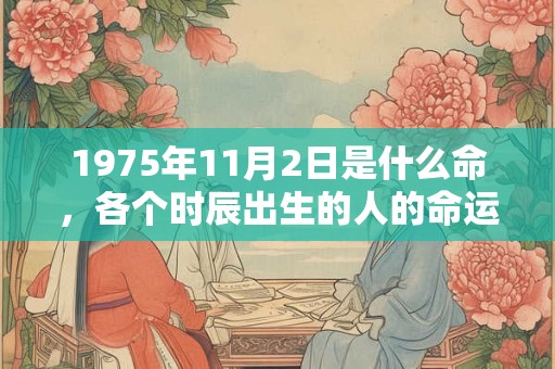 1975年11月2日是什么命,各个时辰出生的人的命运 1975年11月2日是什么命,各个时辰出生的人的命运