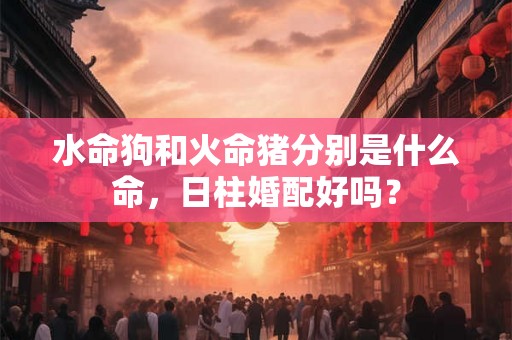 水命狗和火命猪分别是什么命，日柱婚配好吗？