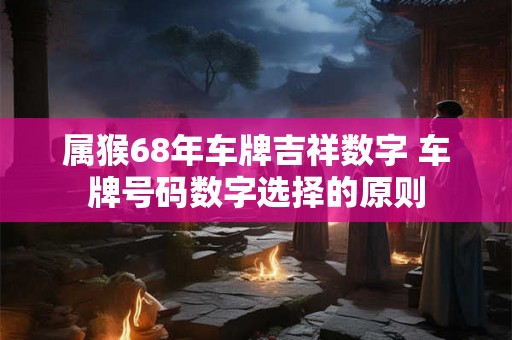 属猴68年车牌吉祥数字 车牌号码数字选择的原则
