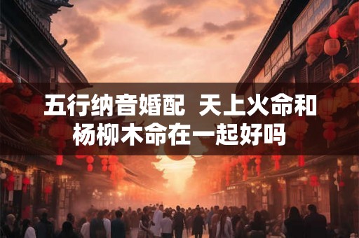 五行纳音婚配 天上火命和杨柳木命在一起好吗 五行纳音婚配 天上火命和杨柳木命在一起好吗